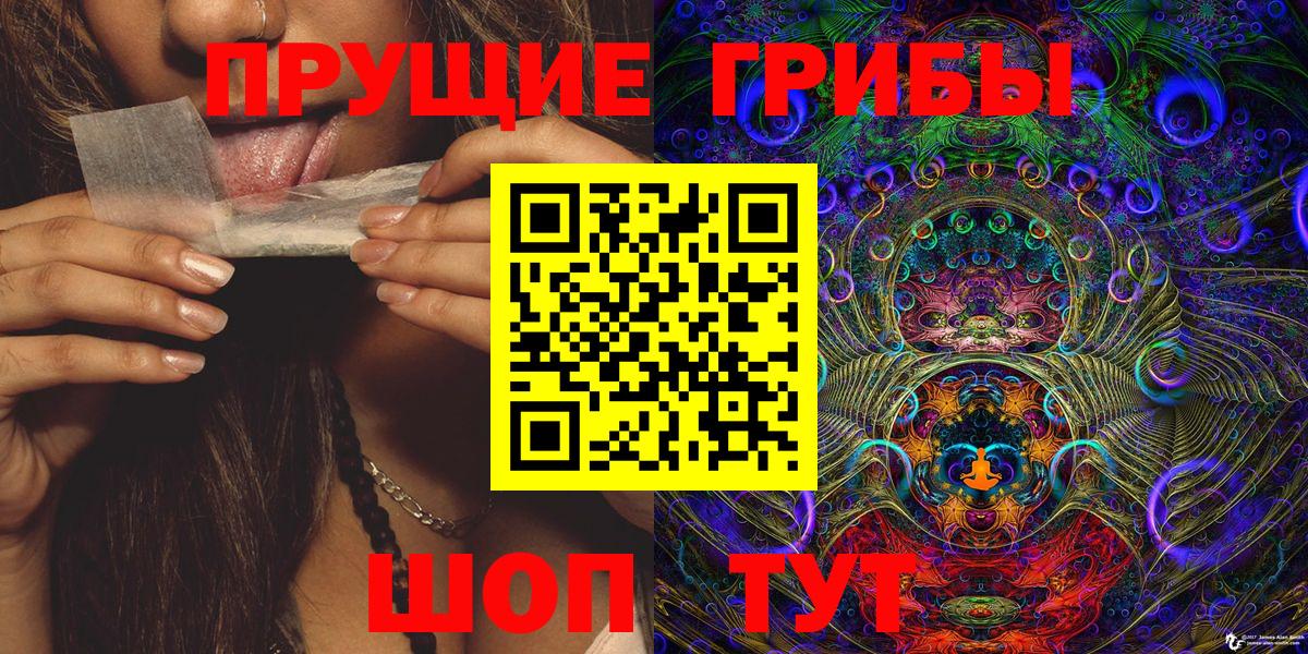 Псилоцибиновые грибы GOLDEN TEACHER Апатиты
